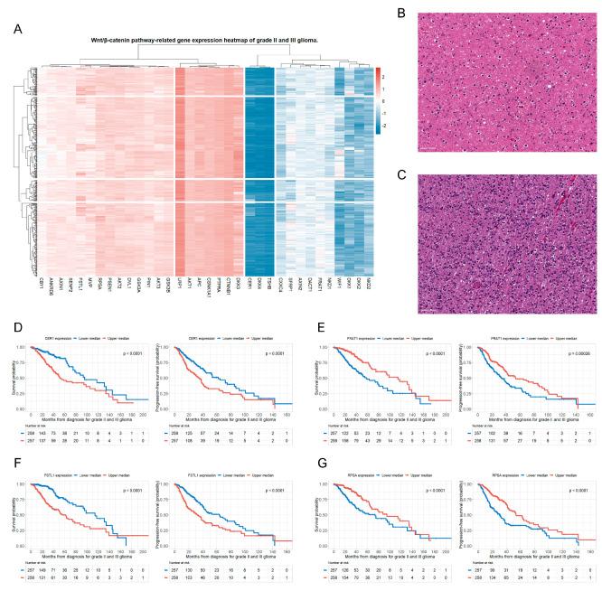 https://cdn.ncbi.nlm.nih.gov/pmc/blobs/3a27/11048596/dc307f138336/biomedicines-12-00858-g001.jpg