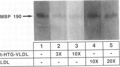 https://cdn.ncbi.nlm.nih.gov/pmc/blobs/3a27/442732/00b5096e564a/jcinvest00102-0166-a.jpg