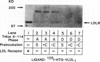 https://cdn.ncbi.nlm.nih.gov/pmc/blobs/3a27/442732/d1f84a292fdb/jcinvest00102-0167-a.jpg