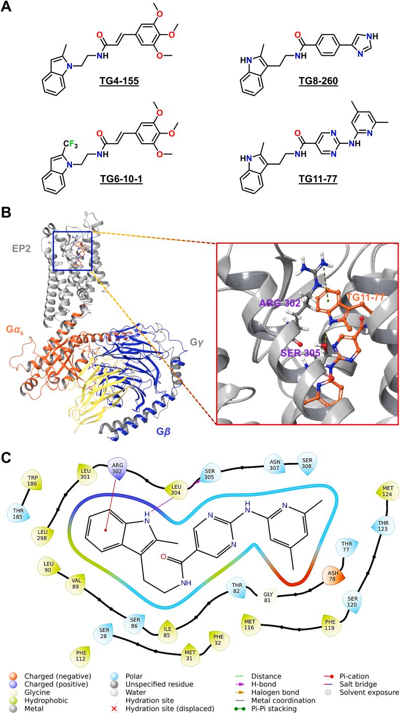 https://cdn.ncbi.nlm.nih.gov/pmc/blobs/3a28/12145024/260001b21506/gr2.jpg