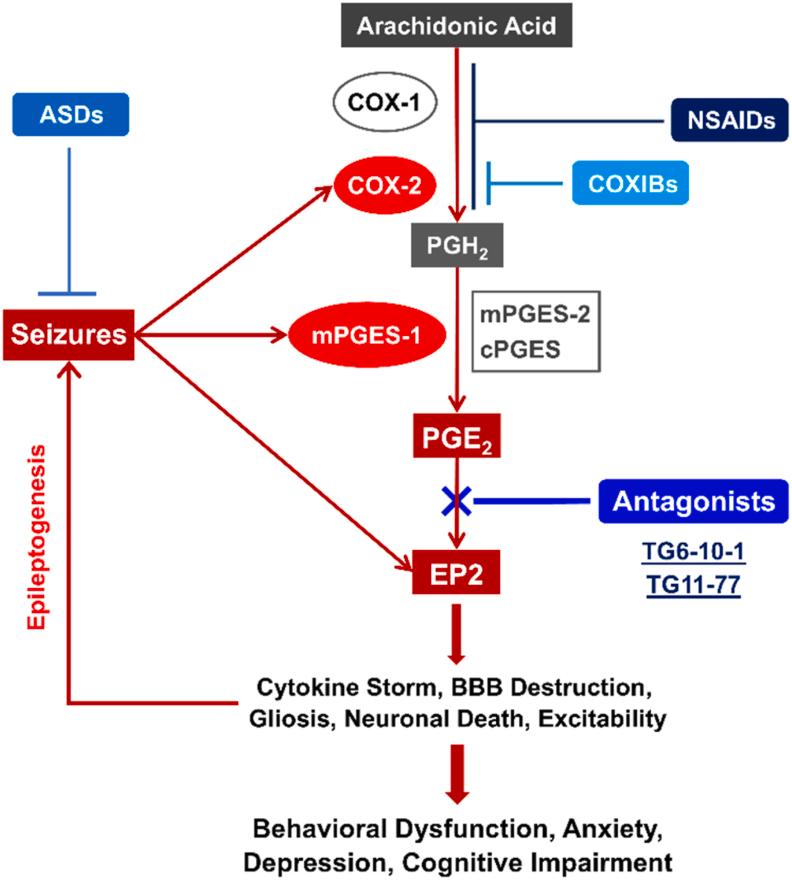 https://cdn.ncbi.nlm.nih.gov/pmc/blobs/3a28/12145024/87c76373315c/gr1.jpg