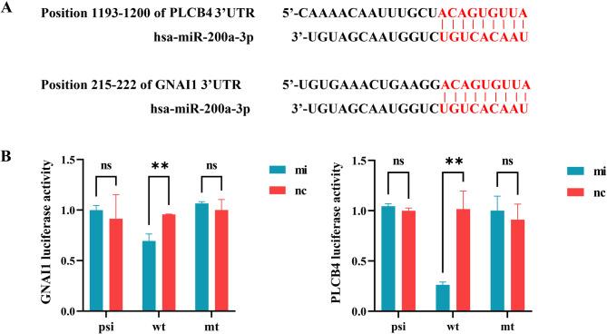 https://cdn.ncbi.nlm.nih.gov/pmc/blobs/3a29/12092684/53a5e81253fe/41598_2025_1956_Fig4_HTML.jpg