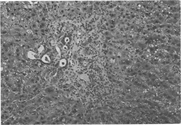 https://cdn.ncbi.nlm.nih.gov/pmc/blobs/3a2a/1637452/45e840dc5291/envhper00480-0323-a.jpg