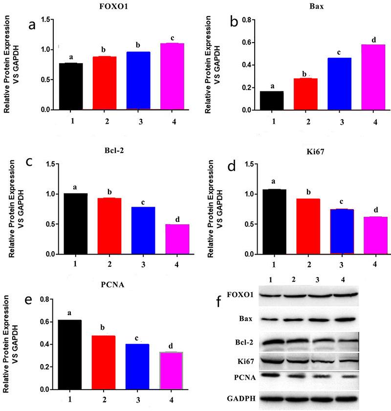 https://cdn.ncbi.nlm.nih.gov/pmc/blobs/3a2c/8941238/03575e7f3484/BMJ-39-55-g5.jpg