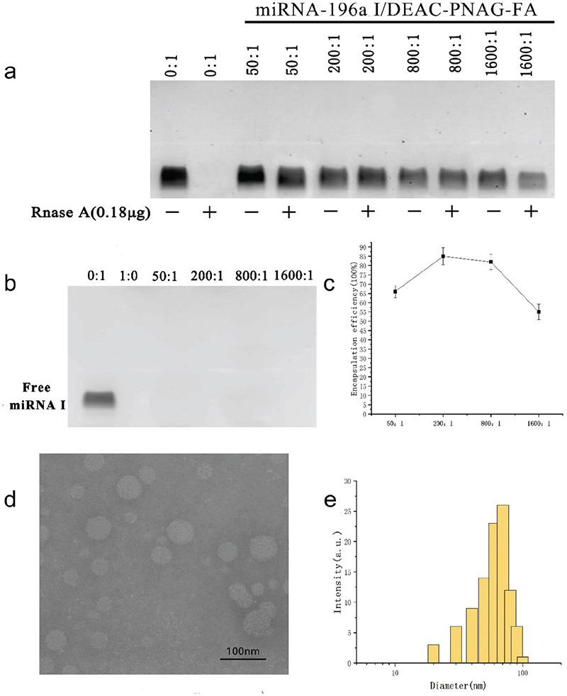 https://cdn.ncbi.nlm.nih.gov/pmc/blobs/3a2c/8941238/4ba916af215e/BMJ-39-55-g2.jpg