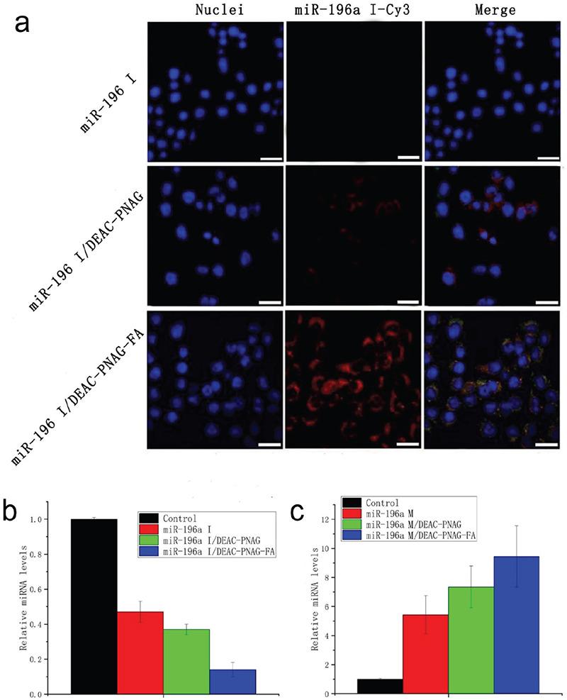 https://cdn.ncbi.nlm.nih.gov/pmc/blobs/3a2c/8941238/baa32e24c353/BMJ-39-55-g4.jpg