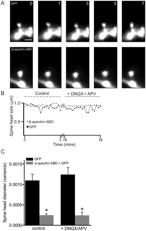 https://cdn.ncbi.nlm.nih.gov/pmc/blobs/3a2d/3031527/2e34f546c657/pone.0016197.g005.jpg