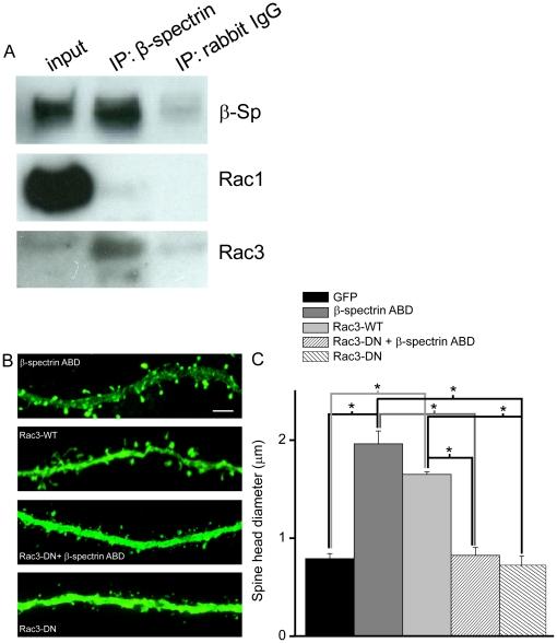 https://cdn.ncbi.nlm.nih.gov/pmc/blobs/3a2d/3031527/4e9f3fe1fe42/pone.0016197.g008.jpg
