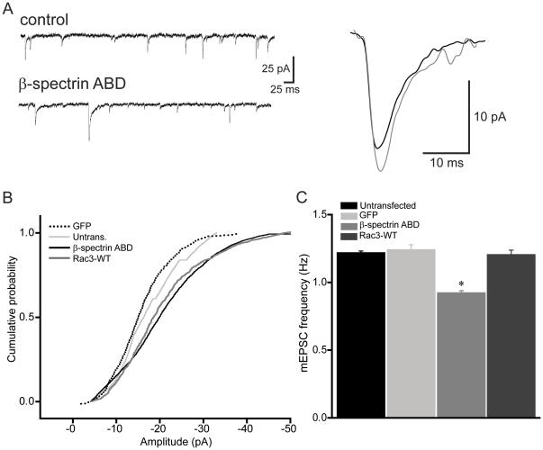 https://cdn.ncbi.nlm.nih.gov/pmc/blobs/3a2d/3031527/b54318dff19f/pone.0016197.g007.jpg