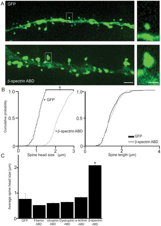 https://cdn.ncbi.nlm.nih.gov/pmc/blobs/3a2d/3031527/c21f1353f4c2/pone.0016197.g002.jpg