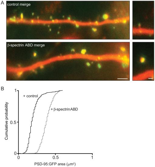 https://cdn.ncbi.nlm.nih.gov/pmc/blobs/3a2d/3031527/e52b644fbc60/pone.0016197.g006.jpg