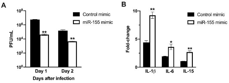 https://cdn.ncbi.nlm.nih.gov/pmc/blobs/3a2d/7019255/34c6dd484ac9/viruses-12-00009-g007.jpg