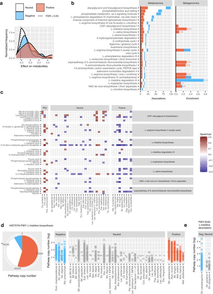 https://cdn.ncbi.nlm.nih.gov/pmc/blobs/3a2d/8357928/0b4a2cf0df48/41467_2021_25213_Fig5_HTML.jpg