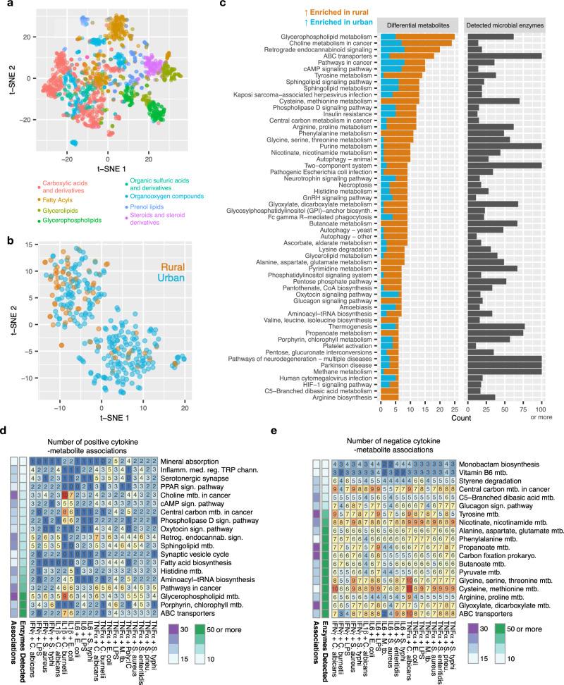 https://cdn.ncbi.nlm.nih.gov/pmc/blobs/3a2d/8357928/1b27d1edc1e6/41467_2021_25213_Fig4_HTML.jpg