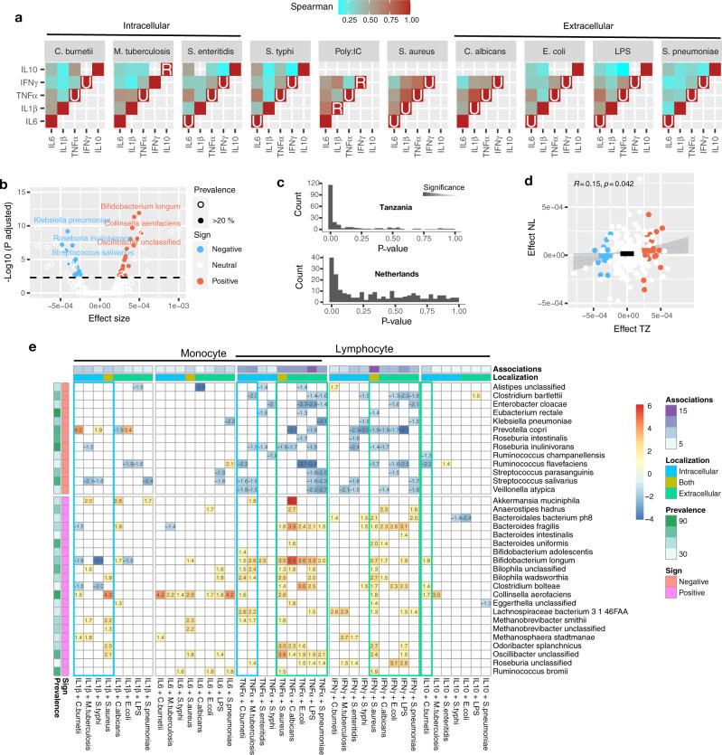 https://cdn.ncbi.nlm.nih.gov/pmc/blobs/3a2d/8357928/8e64117fb9ca/41467_2021_25213_Fig3_HTML.jpg