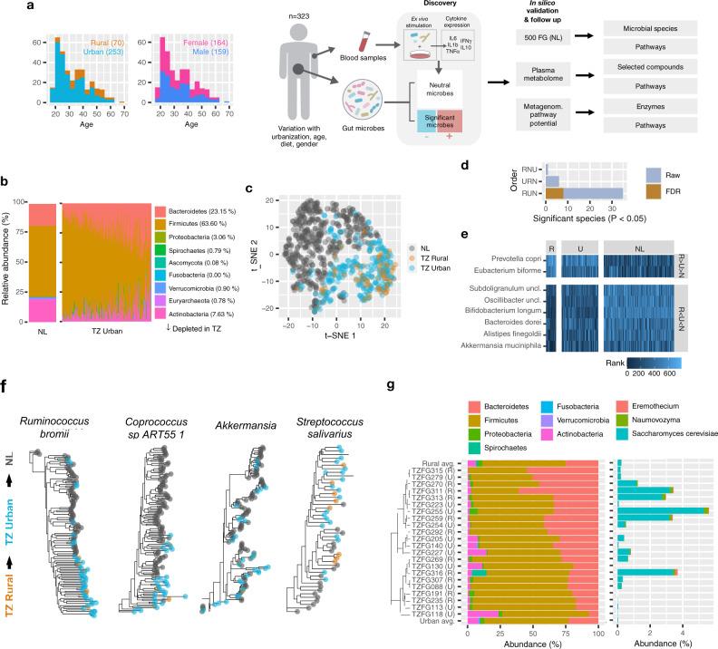 https://cdn.ncbi.nlm.nih.gov/pmc/blobs/3a2d/8357928/a701035f30cf/41467_2021_25213_Fig1_HTML.jpg