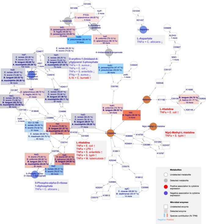 https://cdn.ncbi.nlm.nih.gov/pmc/blobs/3a2d/8357928/e955ec453ed2/41467_2021_25213_Fig6_HTML.jpg