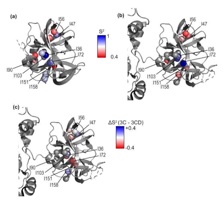 https://cdn.ncbi.nlm.nih.gov/pmc/blobs/3a2f/8001691/462482e2eaf7/viruses-13-00442-g005.jpg