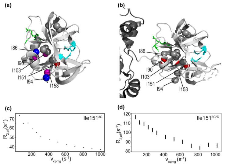 https://cdn.ncbi.nlm.nih.gov/pmc/blobs/3a2f/8001691/728718adf5e6/viruses-13-00442-g003.jpg