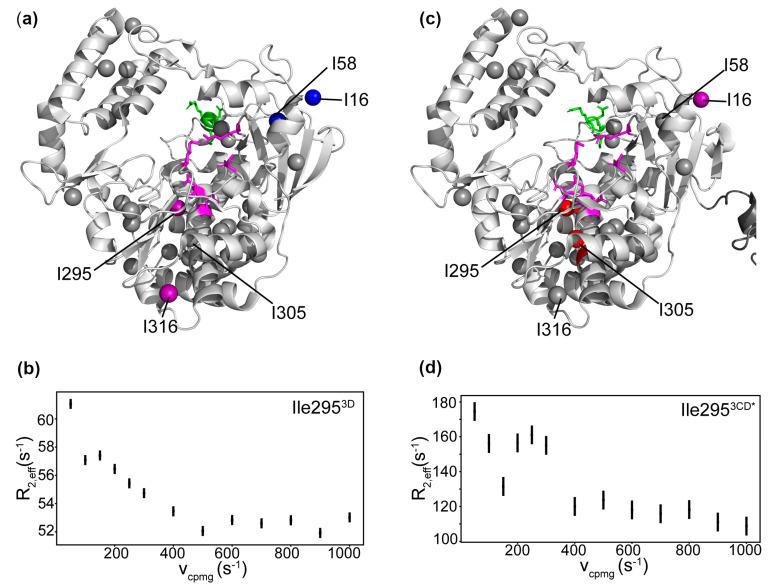 https://cdn.ncbi.nlm.nih.gov/pmc/blobs/3a2f/8001691/beb831f9db74/viruses-13-00442-g007.jpg