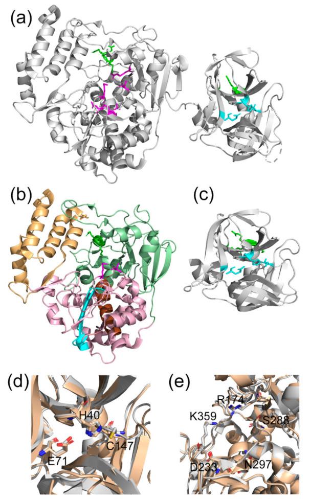 https://cdn.ncbi.nlm.nih.gov/pmc/blobs/3a2f/8001691/fe01a8a64d8f/viruses-13-00442-g001.jpg