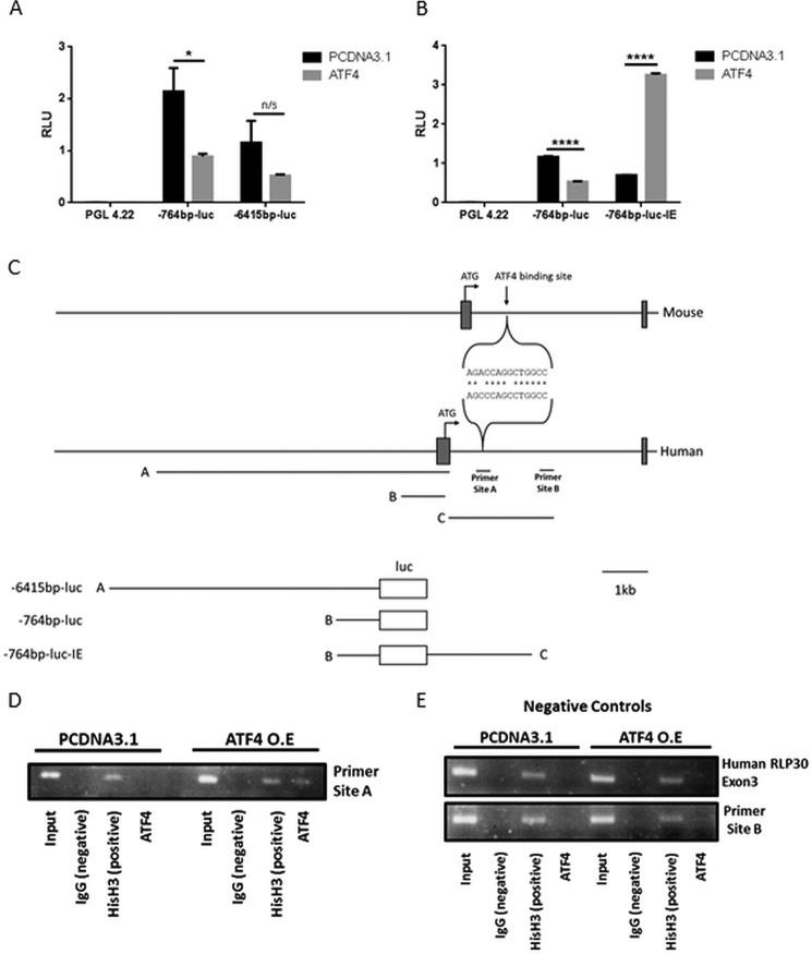 https://cdn.ncbi.nlm.nih.gov/pmc/blobs/3a32/4722457/d88cca7ce6c1/zbc0061635680006.jpg
