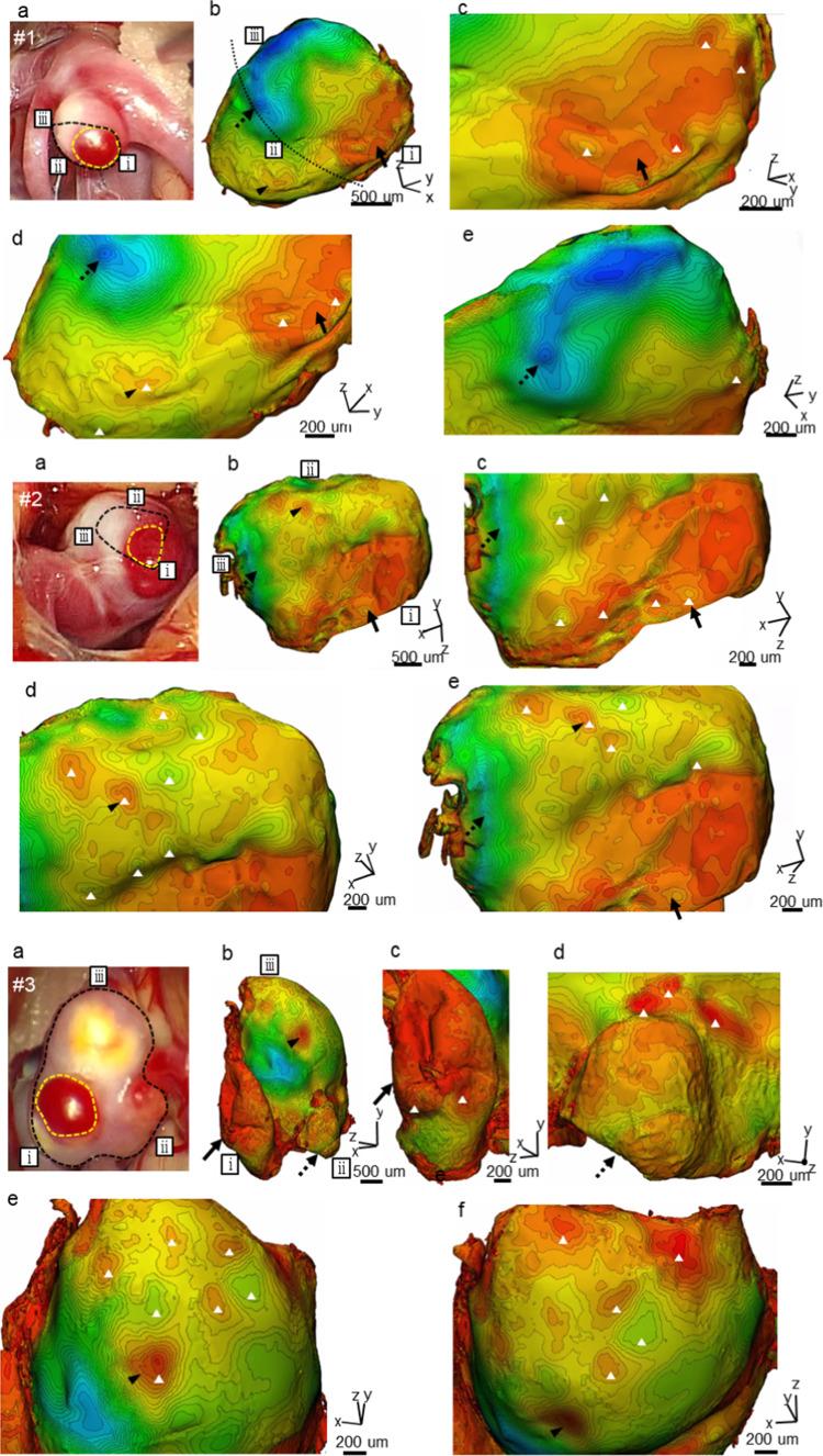 https://cdn.ncbi.nlm.nih.gov/pmc/blobs/3a34/11341610/58e09d864e4a/10237_2024_1835_Fig6a_HTML.jpg
