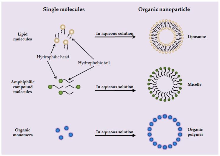 https://cdn.ncbi.nlm.nih.gov/pmc/blobs/3a34/8874650/d22e9c9435d3/toxics-10-00050-g003.jpg
