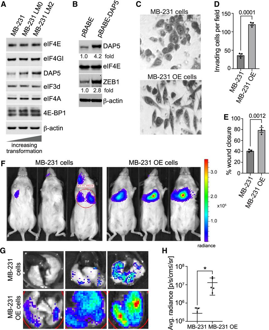 https://cdn.ncbi.nlm.nih.gov/pmc/blobs/3a36/10895648/198cf9ecfd3a/nihms-1955190-f0007.jpg