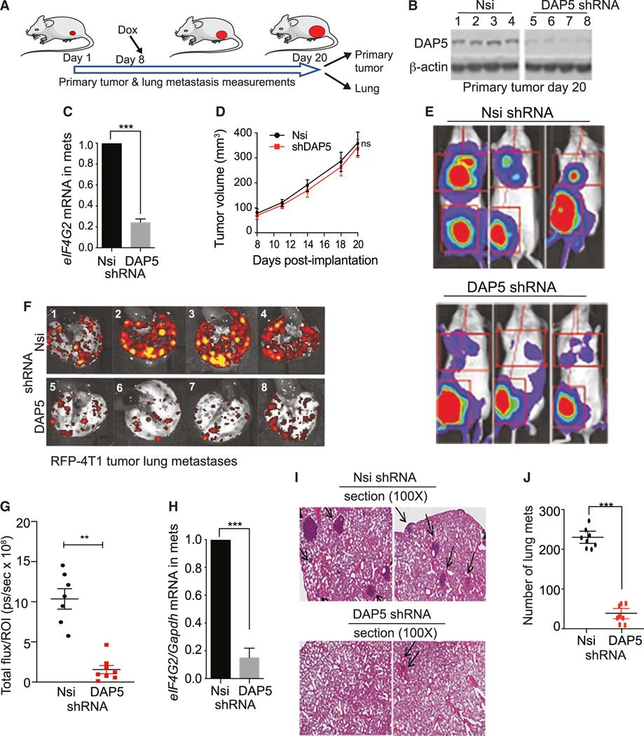 https://cdn.ncbi.nlm.nih.gov/pmc/blobs/3a36/10895648/784ff92be41d/nihms-1955190-f0004.jpg