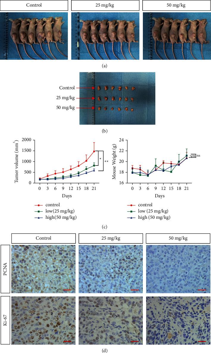 https://cdn.ncbi.nlm.nih.gov/pmc/blobs/3a36/9371883/12a885477513/JO2022-8675096.006.jpg