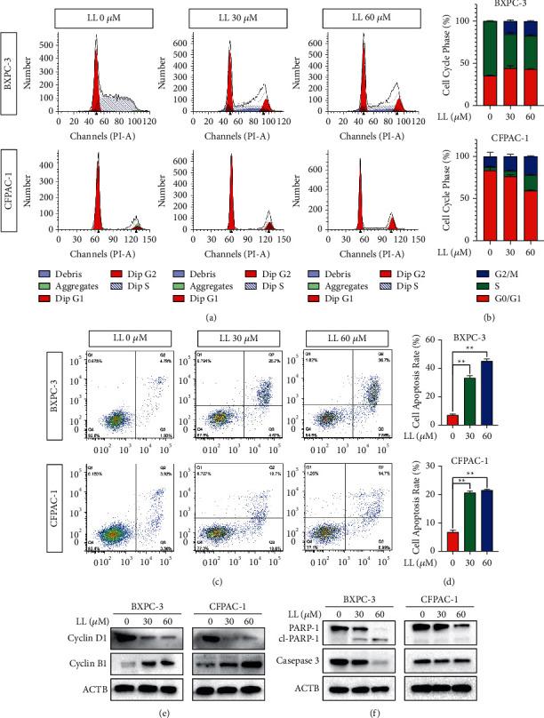 https://cdn.ncbi.nlm.nih.gov/pmc/blobs/3a36/9371883/489dfa430db3/JO2022-8675096.004.jpg