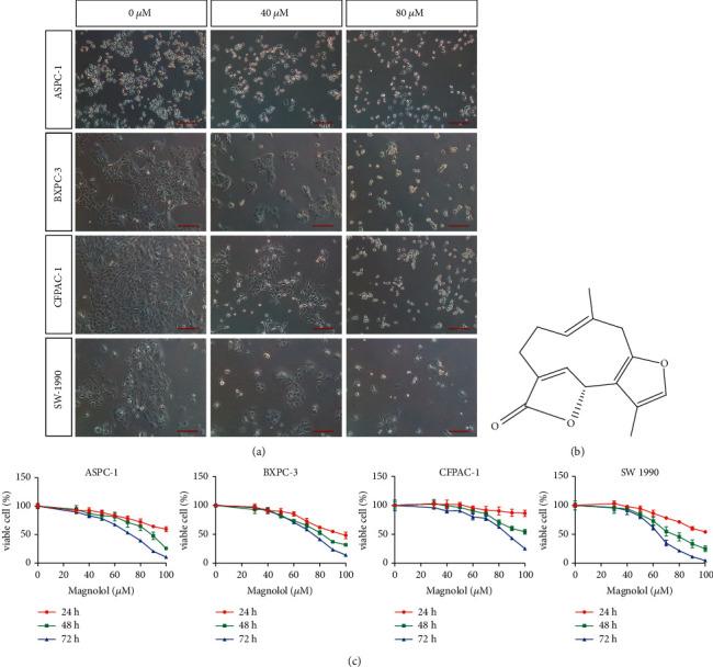 https://cdn.ncbi.nlm.nih.gov/pmc/blobs/3a36/9371883/c67d7943991b/JO2022-8675096.001.jpg