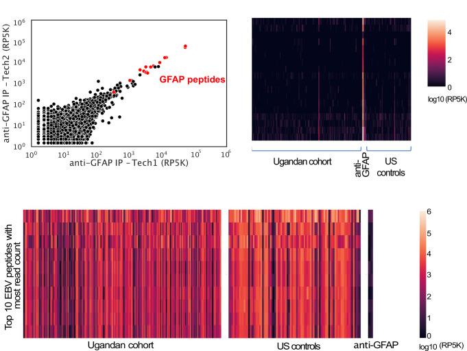 https://cdn.ncbi.nlm.nih.gov/pmc/blobs/3a3b/10005774/f93d77929e44/elife-81401-fig2-figsupp3.jpg