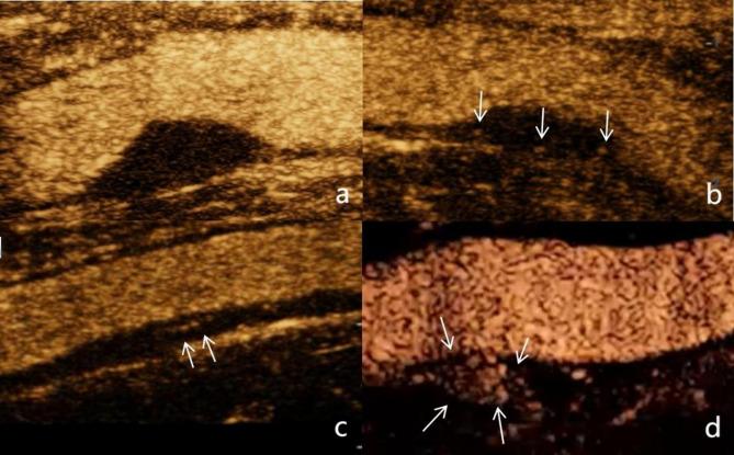 https://cdn.ncbi.nlm.nih.gov/pmc/blobs/3a3d/12400744/9b66fab04541/12947_2025_356_Fig2_HTML.jpg