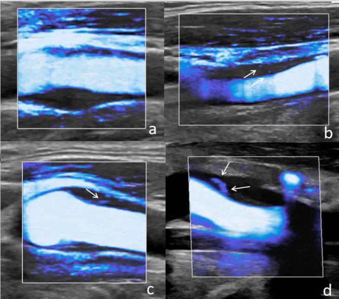 https://cdn.ncbi.nlm.nih.gov/pmc/blobs/3a3d/12400744/a30538c54bc3/12947_2025_356_Fig1_HTML.jpg