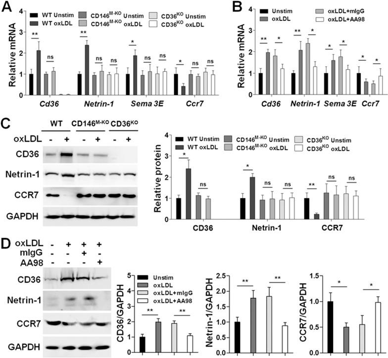 https://cdn.ncbi.nlm.nih.gov/pmc/blobs/3a3e/5339843/2951be914377/cr20178f6.jpg