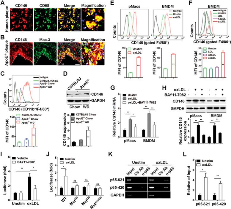 https://cdn.ncbi.nlm.nih.gov/pmc/blobs/3a3e/5339843/586ca475556f/cr20178f1.jpg
