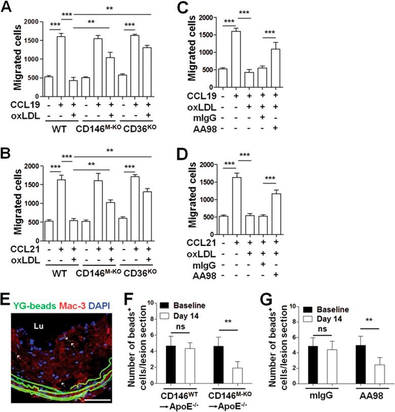 https://cdn.ncbi.nlm.nih.gov/pmc/blobs/3a3e/5339843/c16706637789/cr20178f7.jpg