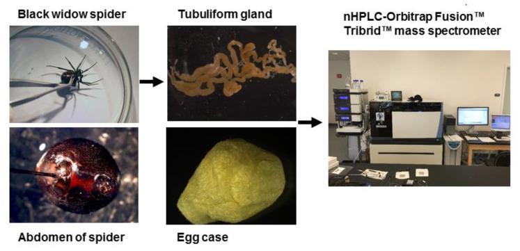 https://cdn.ncbi.nlm.nih.gov/pmc/blobs/3a3e/8399404/584759fa8450/molecules-26-05088-g001.jpg