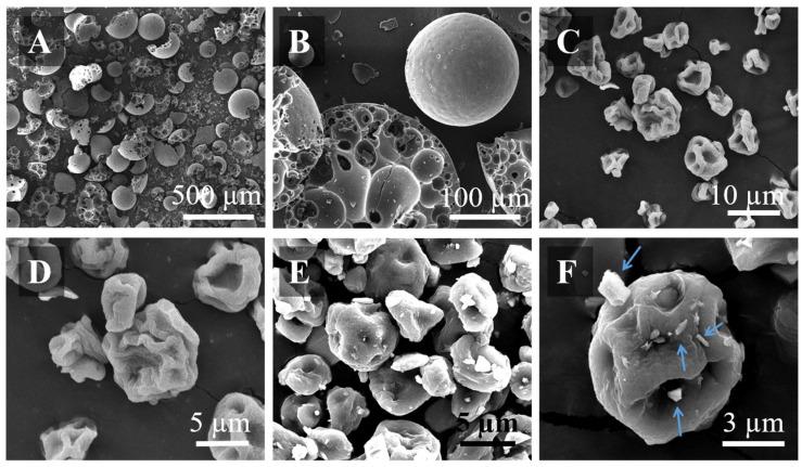 https://cdn.ncbi.nlm.nih.gov/pmc/blobs/3a3e/9781482/3f9f69270c20/pharmaceutics-14-02763-g002.jpg