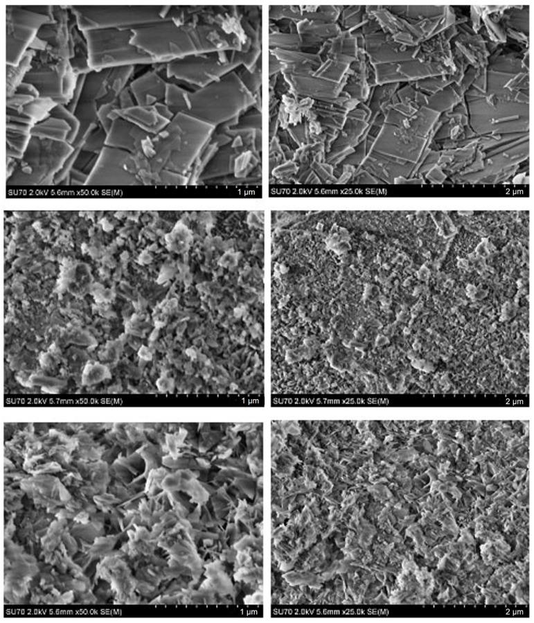 https://cdn.ncbi.nlm.nih.gov/pmc/blobs/3a40/12194978/31ad62c03afd/materials-18-02869-g005.jpg