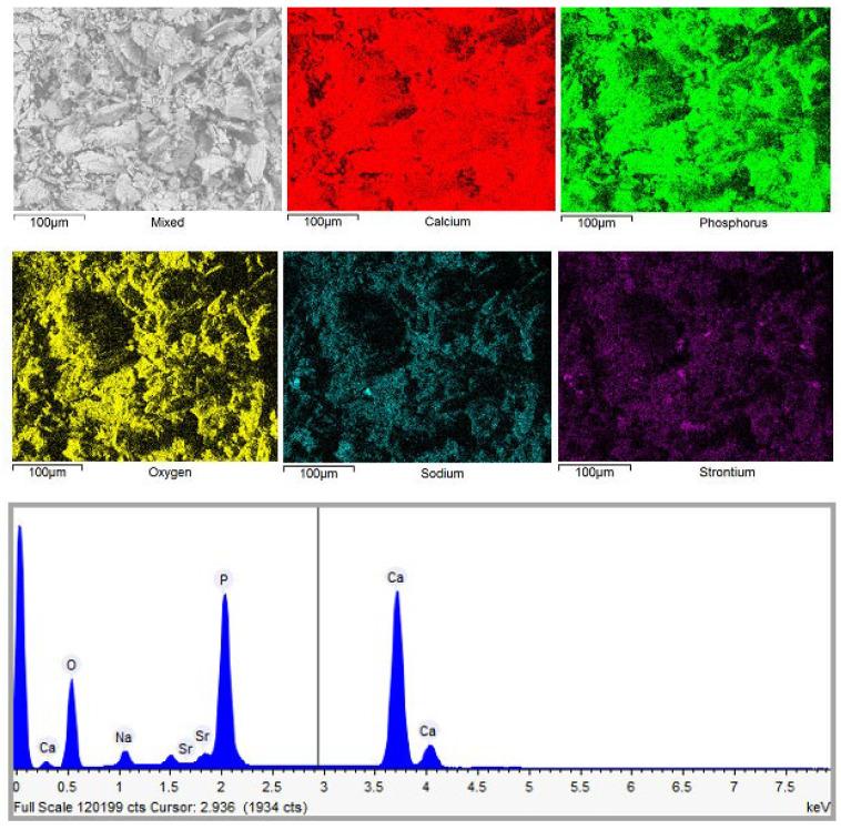 https://cdn.ncbi.nlm.nih.gov/pmc/blobs/3a40/12194978/69be8b681a88/materials-18-02869-g008.jpg