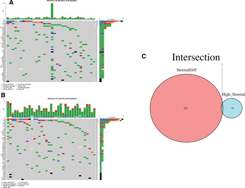 https://cdn.ncbi.nlm.nih.gov/pmc/blobs/3a41/10578691/45543b85bda8/medi-102-e35579-g003.jpg