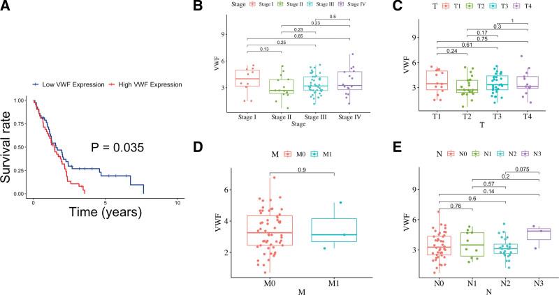 https://cdn.ncbi.nlm.nih.gov/pmc/blobs/3a41/10578691/552a17568cea/medi-102-e35579-g004.jpg