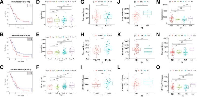 https://cdn.ncbi.nlm.nih.gov/pmc/blobs/3a41/10578691/8700bf6b1d6d/medi-102-e35579-g001.jpg