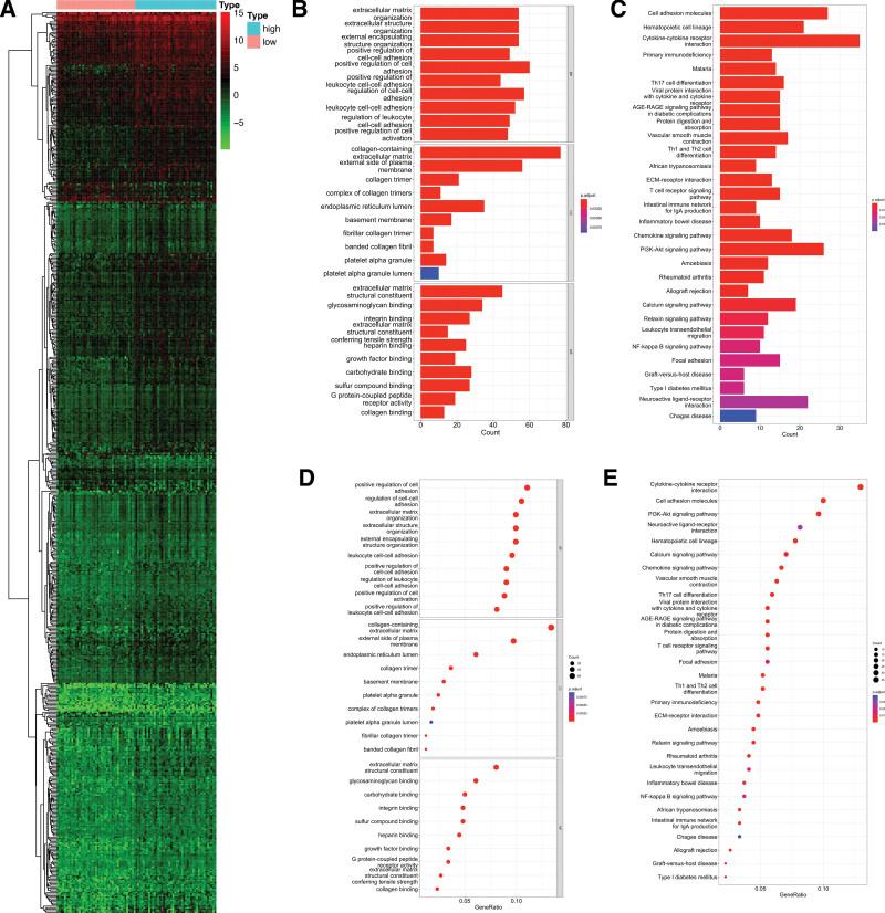 https://cdn.ncbi.nlm.nih.gov/pmc/blobs/3a41/10578691/d61fd174ca91/medi-102-e35579-g002.jpg