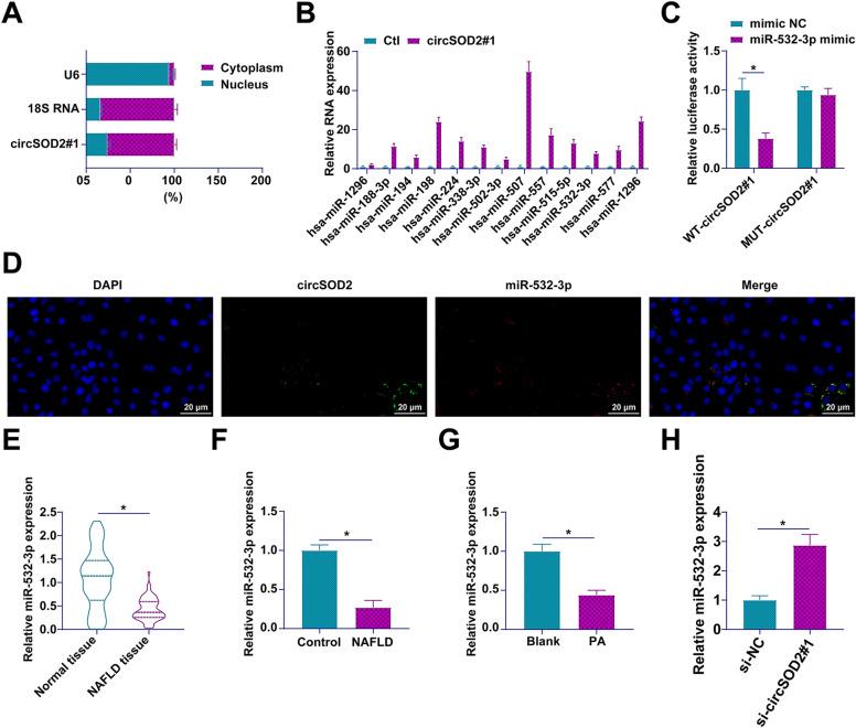 https://cdn.ncbi.nlm.nih.gov/pmc/blobs/3a44/11044449/6b94c2935ce6/40001_2024_1817_Fig3_HTML.jpg