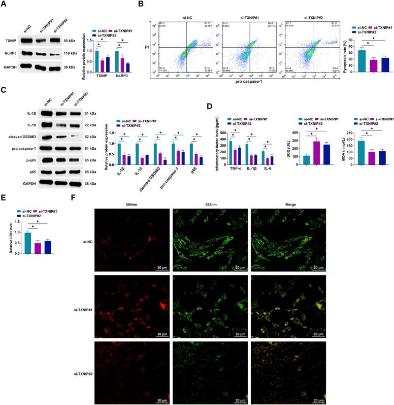 https://cdn.ncbi.nlm.nih.gov/pmc/blobs/3a44/11044449/87a1f0dc127e/40001_2024_1817_Fig7_HTML.jpg