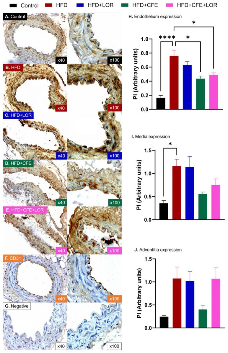 https://cdn.ncbi.nlm.nih.gov/pmc/blobs/3a44/11678847/00537d8fcc90/nutrients-16-04296-g007.jpg